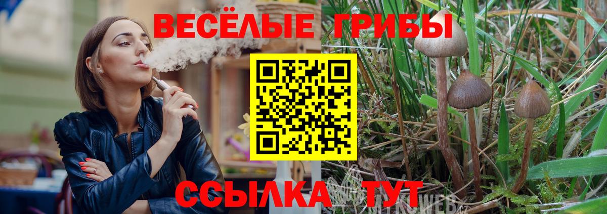 Псилоцибиновые грибы ЛСД  Вход с VPN  Шахты 