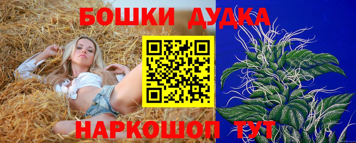 Шахты  МАРИХУАНА планчик  Канабис конопля  Вход с VPN 